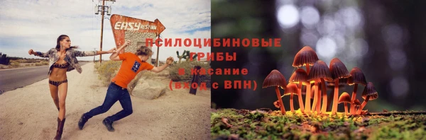 мескалин Козловка