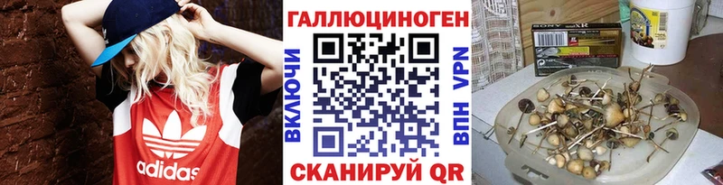 Купить Обь Галлюциногенные грибы GOLDEN TEACHER